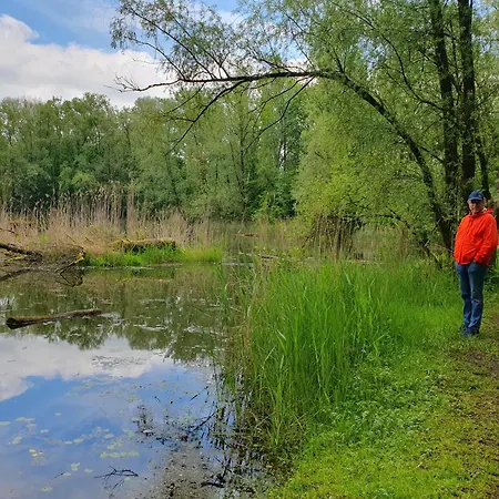 Helene Hohenems, 4-12 P, Haus, 4 Schlafzimmer, Kueche, Parkplatz, Garten, Wifi